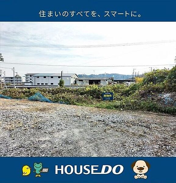 外観：339000054557
