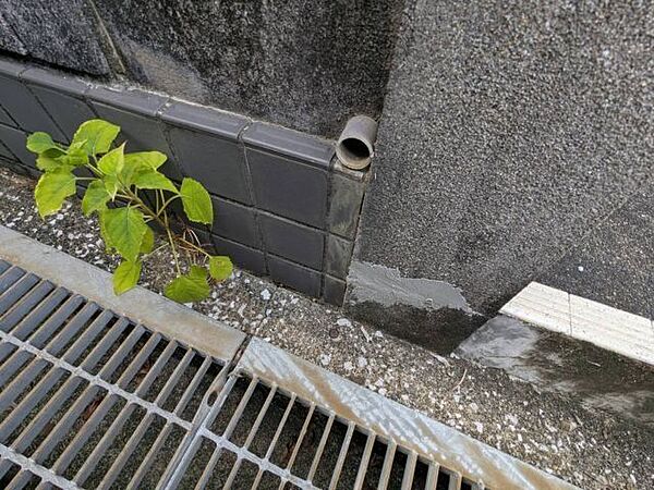 その他屋外
