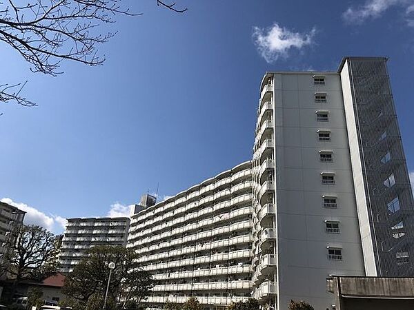 外観：339000054085