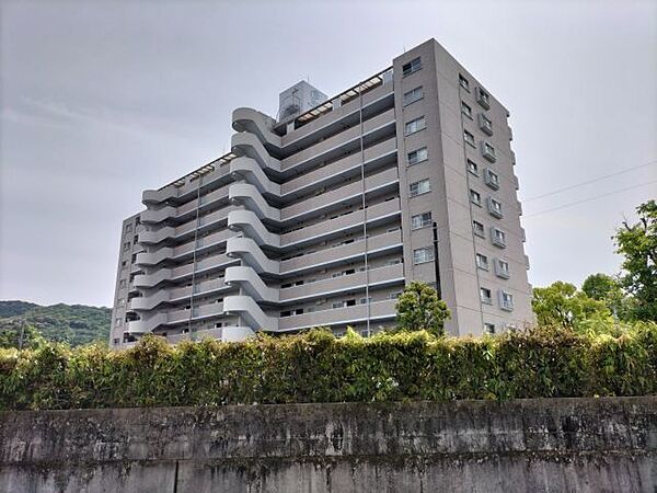 外観：339000054209