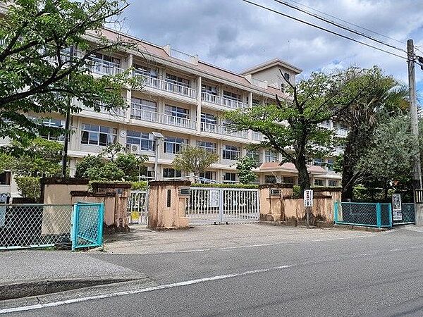 高知市立昭和小学校 700m