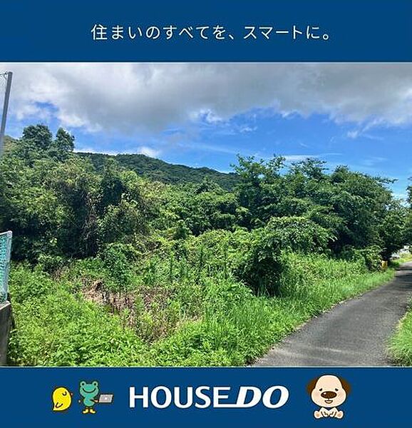 外観：339000054989