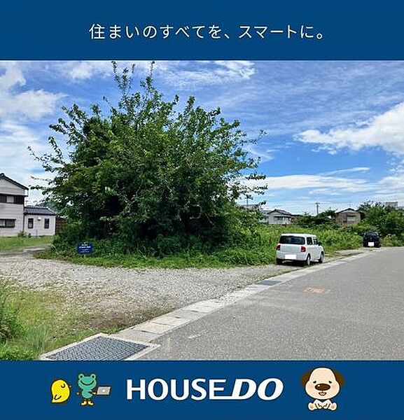 外観：339000055198
