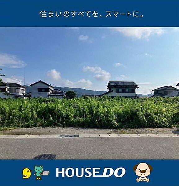 外観：339000055317