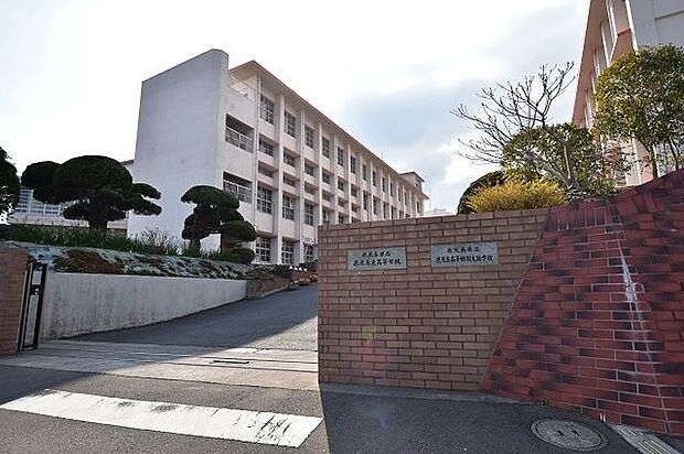 【鹿児島県立東高等学校】設立 1949年校訓 自律・自修・自重普通科のみ鹿児島県立鹿児島高等特別支援学校が併設されている 610m