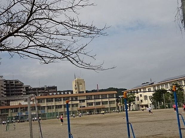 【城西中学校】市中心部より北西に約3km,甲突川西岸,鹿児島中央駅の北方に位置する西田小,原良小と甲突川の対岸,国道3号線沿いに位置する草牟田小の一部からなる。 1450m