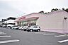 周辺：ファッションセンターしまむら　田上店【ファッションセンターしまむら　田上店】鹿児島市広木1丁目にある衣料品店です。営業時間　10:00〜19:00 800m