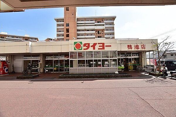 タイヨー鴨池店【タイヨー鴨池店】は、鹿児島市鴨池新町28に位置する鴨池フェリー入口交差点近くのスーパーです。取扱品目は主に「生鮮食品・日配品・一般食品 ・日用雑貨・お酒」です。駐車場があります…
