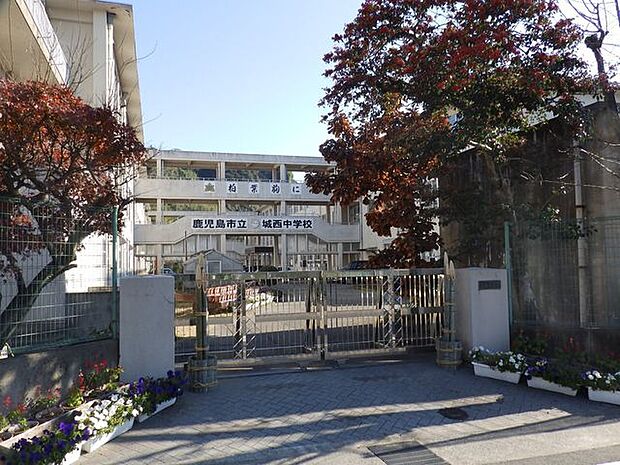 城西中学校【鹿児島市立城西中学校】は、城西2丁目に位置する1947年創立の中学校です。令和3年度の生徒数は739人で、22クラスあります。校訓は「柏葉の 枯れても落ちぬ がんばりを 〜 ※一部抜粋…