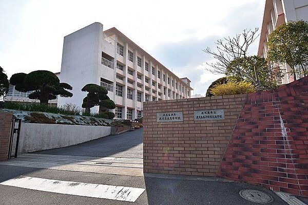 【鹿児島県立東高等学校】設立　1949年校訓　自律・自修・自重普通科のみ鹿児島県立鹿児島高等特別支援学校が併設されている 240m
