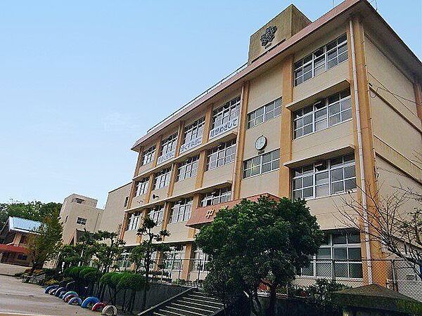 【鹿児島市立中郡小学校】は、郡元2丁目に位置する1879年創立の小学校です。令和3年度の生徒数は374人で、17クラスあります。 240m
