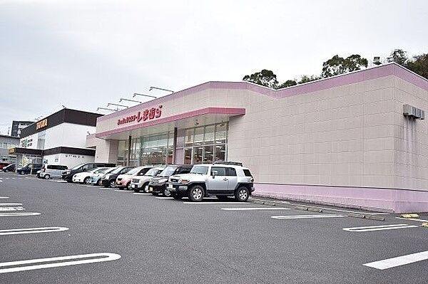 【ファッションセンターしまむら　田上店】鹿児島市広木1丁目にある衣料品店です。営業時間　10:00～19:00 1040m