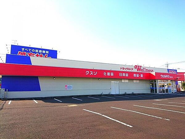 ドラッグストアウェルネス斐川店 1879m