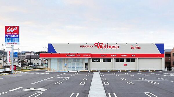 ドラッグストアウェルネス上塩冶店 567m