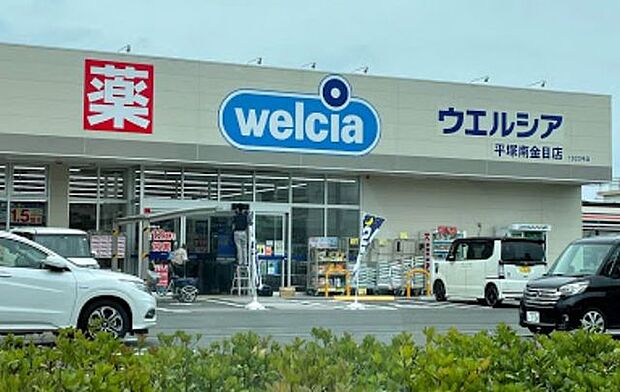  ドラッグストア ウェルシア南金目店 260m