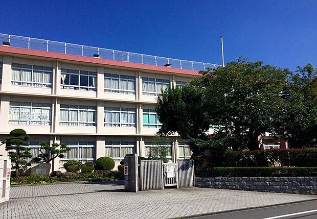 春日野中学校 77m