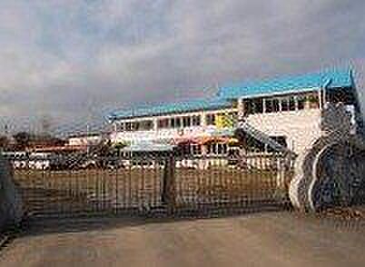 しらふじ幼稚園 60m