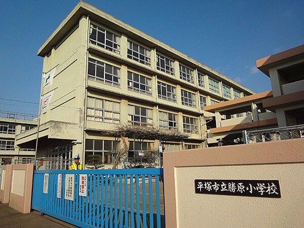 勝原小学校 200m