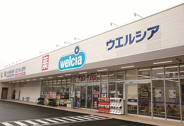 ウエルシア平塚四宮店 550m