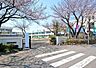周辺：中原小学校 600m