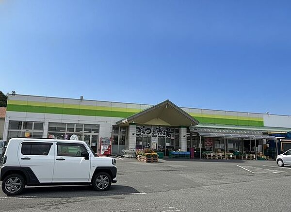周辺を拡大表示