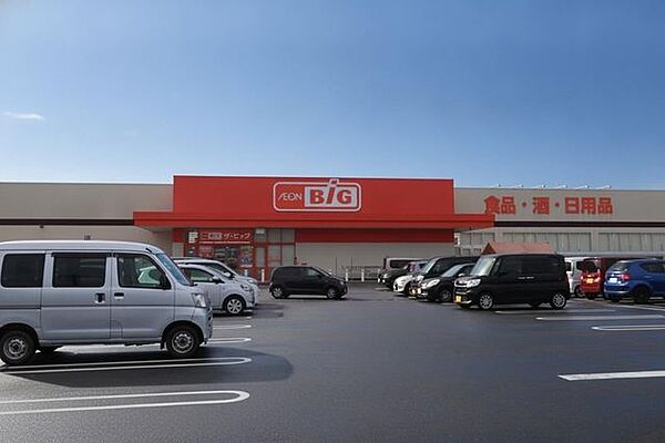 ザ・ビッグ 東出雲店 1010m