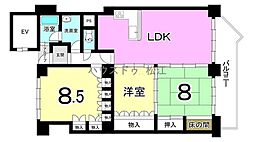 ヒルサイドテラス白金坂 3LDKの間取図画像