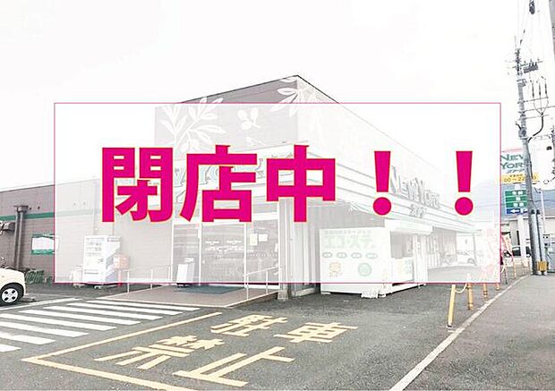 【ニューヨークストア貫店】【閉店中!!2024.11.7時点】 2300m