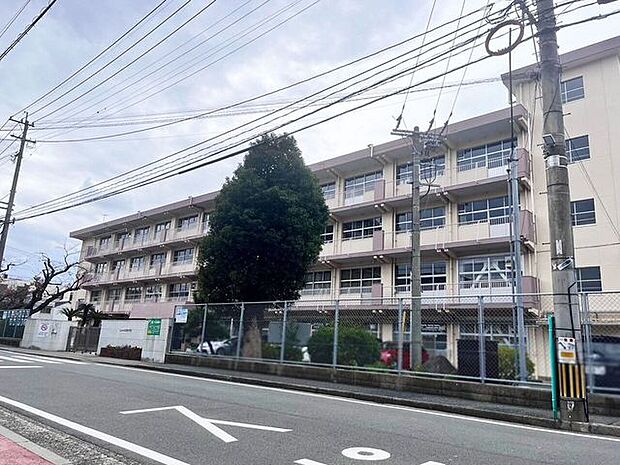 【白銀中学校】小倉北区にある中学校です♪町名は『しらがね』と読みますが、校名は『しろがね』と読むそうです。 277m