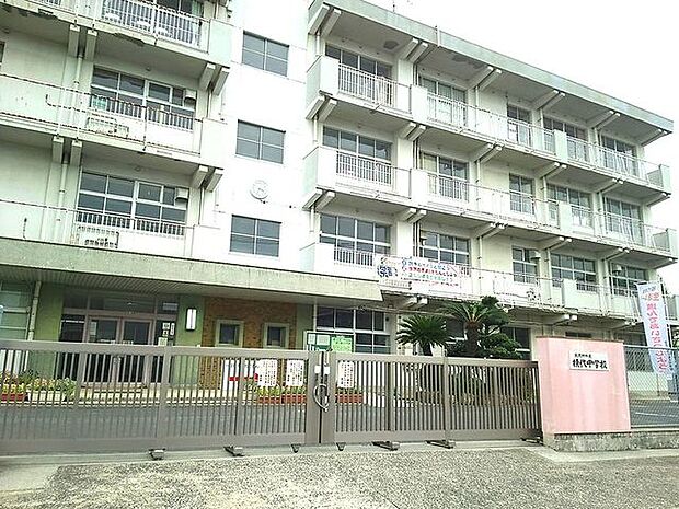 【横代中学校】豊かな自然と新興住宅地に囲まれていて、落ち着いた雰囲気です。近隣の横代小学校からそのまま中学校にあがるので環境も大きく変わらないそうです。 487m