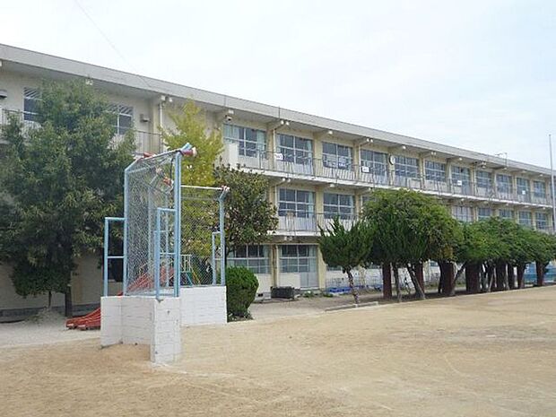 【曽根小学校】近隣には曽根中学校・曽根ひかり幼稚園・ひかり保育園があり子育て環境に嬉しい立地です♪ 770m
