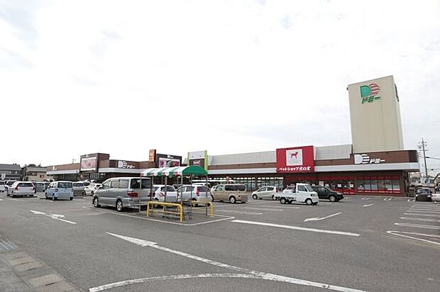 ドミー新川店 440m