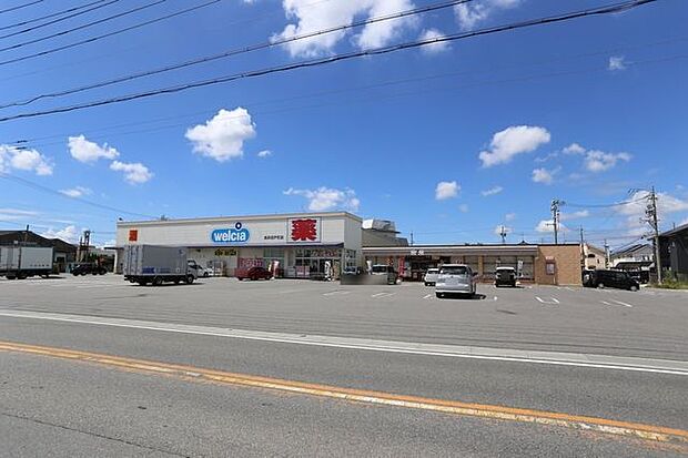 ウエルシア高浜田戸町店 600m