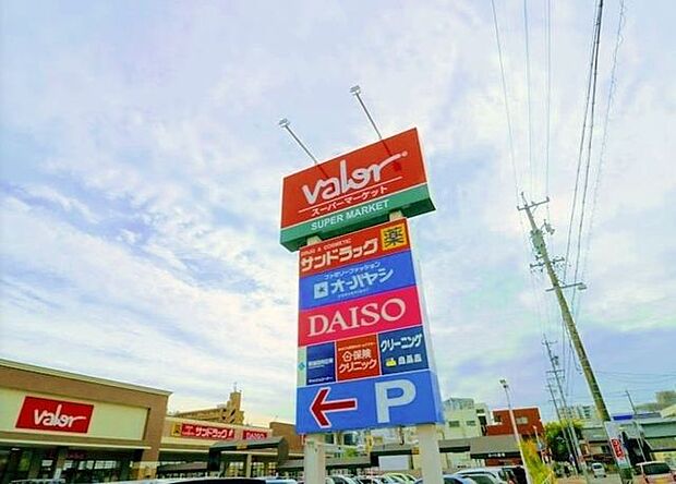 バロー 安城日の出店 860m