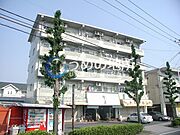  5階 築38年1ヶ月の賃貸物件