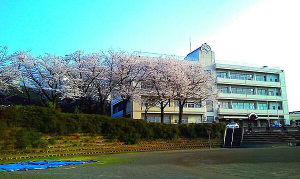 座間市立南中学校 徒歩14分。 1110m