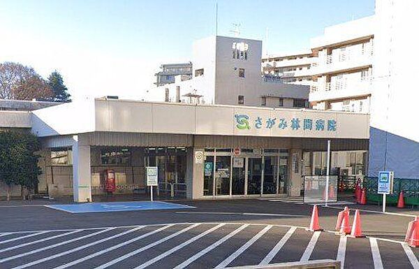 医療法人ユーカリさがみ林間病院 徒歩13分。 990m