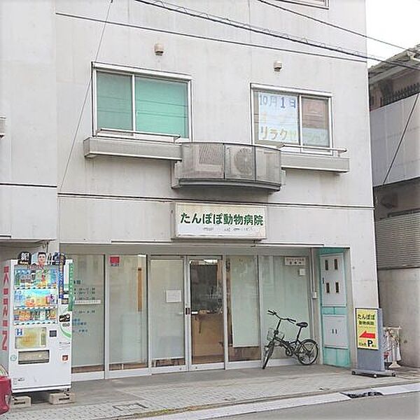たんぽぽ動物病院 徒歩1分。動物病院 80m