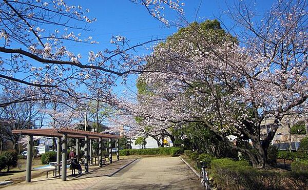 桐原公園 徒歩7分。 550m