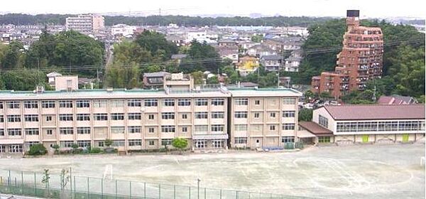 綾瀬市立綾南小学校 徒歩4分。 300m