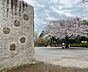 周辺：湘南台公園 徒歩11分。 900m