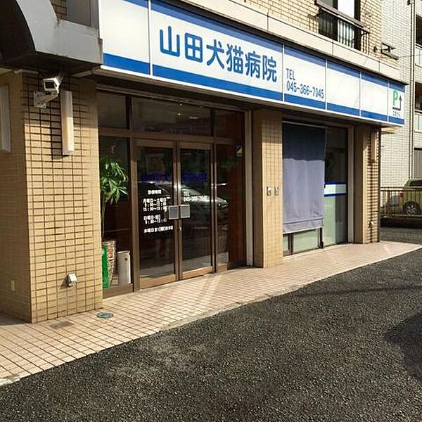 山田犬猫病院 徒歩6分。 500m