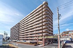 スペクトル尾張瀬戸