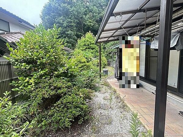 庭