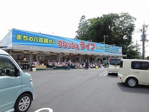 フレッシュライフ中恵土店車で2分 800m
