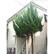 メゾン葵 1階 築42年6ヶ月の賃貸物件