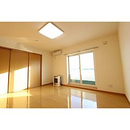 シャイニングラピュタ 307