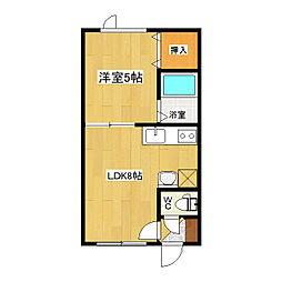 ポラリス 1階1LDKの間取り