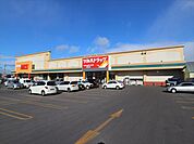 ツルハドラッグ美幌新町店（466m）