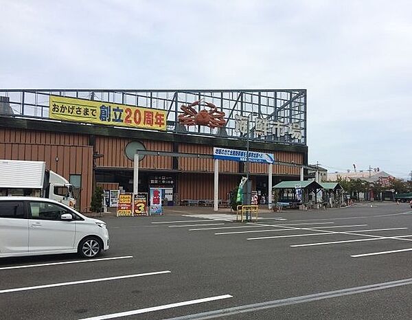 舞鶴港 とれとれセンター 1800m